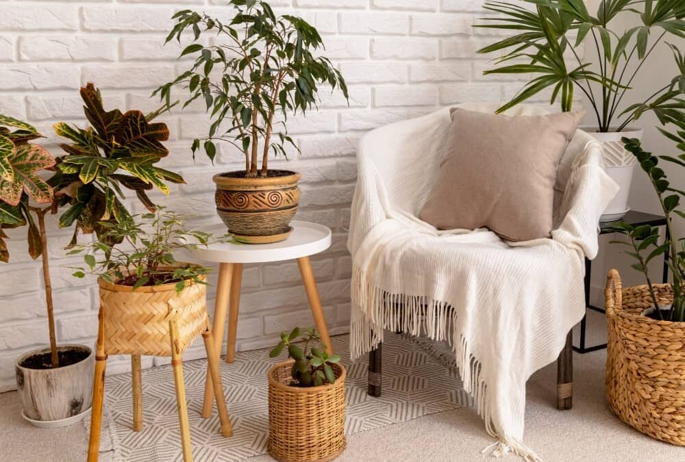 Decoración sostenible: Tendencias y consejos