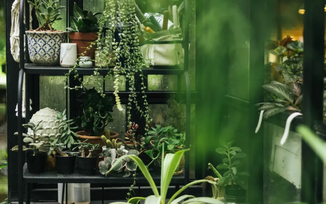 Biophilic design: What is it and why is it the design of the future?